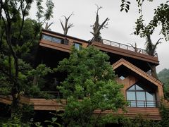 -杭州开元森泊度假乐园