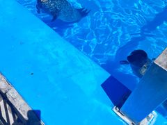 -泉城欧乐堡海洋极地世界