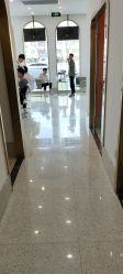 -YESIDO椰岛造型