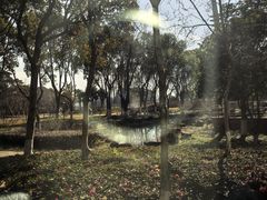 -上海市保健医疗中心