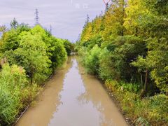 -上海长兴岛郊野公园