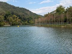 -广东温泉宾馆