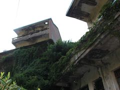 -枸杞岛