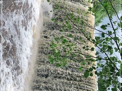-汤旺河林海奇石景区