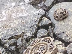 -巴拉湾海滩