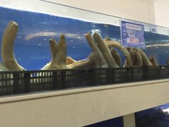 -乐潮汇时尚量贩式KTV(嘉业国际城购物中心店)