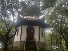 -上海佘山国家森林公园天马山园