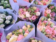 -优衣库(深圳万象天地旗舰店)