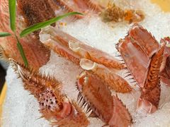 -东海怡品海鲜豆捞(舟宿夜江店)