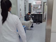 -达爱动物医院·犬猫分区·CT·复杂眼科(远洋山水分院)