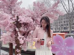 -金茂览秀城