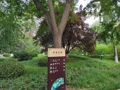 -丰台花园