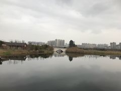 -眉山湿地公园(东坡区)