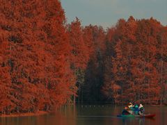 -上海海湾国家森林公园