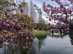 -尚湖风景区