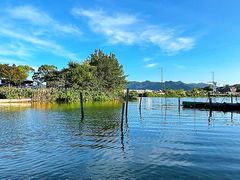-晓琦农家菜馆·地道农家菜