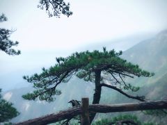 -罗田天堂寨风景区