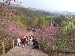 -天台山赤城山景区