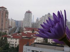 -上海财经大学附属北郊高级中学