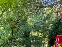 -大慈岩风景区