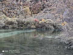 -叠溪松坪沟景区