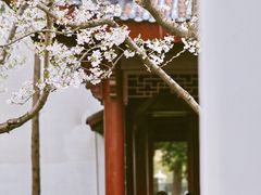 -堤角公园