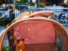 -正德楼果木烤鸭·渔家菜(东港店)