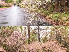 -江苏三台山国家森林公园