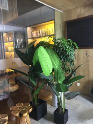 -花隐瑜伽·普拉提·红绳