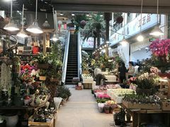 -双季花艺园艺市场(浦东店)