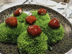 -鹿园 MOOSE(长宁店)