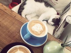 iphone_upload_pic-海边的猫和咖啡馆
