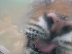 -栾川竹海野生动物园