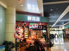-丽江三义国际机场
