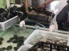 -南戴河海滨市场