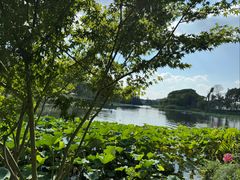 -新江湾城公园