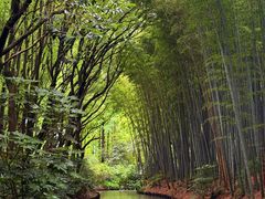 -同里国家湿地公园