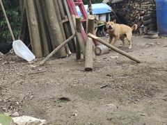-抱龙峪