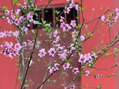 -乌山风景区