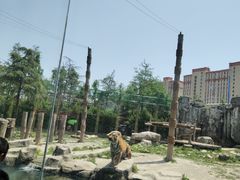 -上海野生动物园
