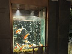 -浩运·海鲜青岛菜·海胆水饺(石老人店)