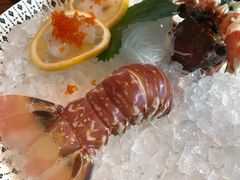 玫瑰龙虾刺身-Mr·Fish鱼鲜生海鲜放题(银泰in99店)