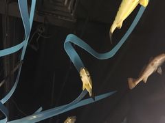 -同济大学四平路校区深海探索馆