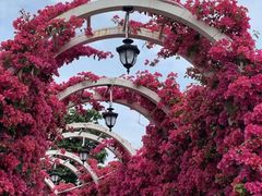 -南宁良凤江国家森林公园