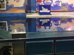 -太平洋海底世界