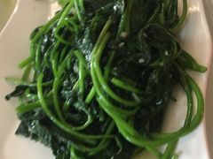 -华南师范大学石牌校区陶园