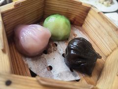 -斑斓西餐厅·自助茶点(高崎机场佰翔花园酒店)