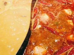 -朱光玉火锅馆(正弘城店)