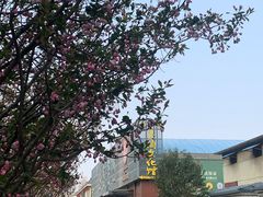 -济南1953茶文化创意产业园