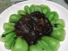 -圆苑(上海广场店)
